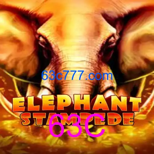 ElephantStampede